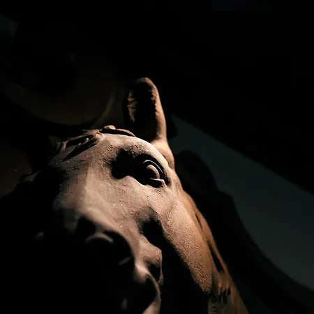 L'auberge Du Cheval Blanc Et Hotell 4*