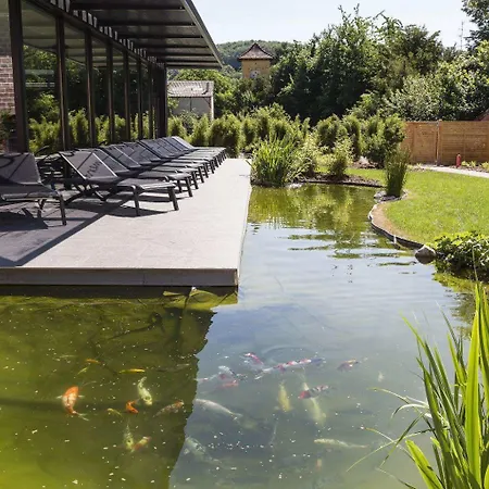 Hotel L'auberge Du Cheval Blanc Et 4*