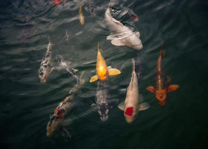 L'auberge Du Cheval Blanc Et Lembach